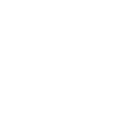 Property Title + Interests icon